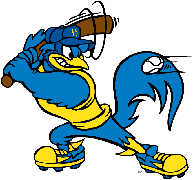 Delaware Blue Hens 1993-Pres Mascot Logo v8 diy iron on heat transfer